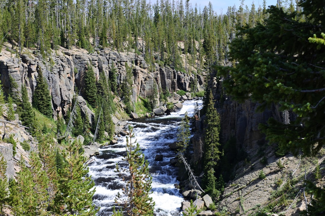 travelers stories about Nature reserve in Yellowstone National Park, United States