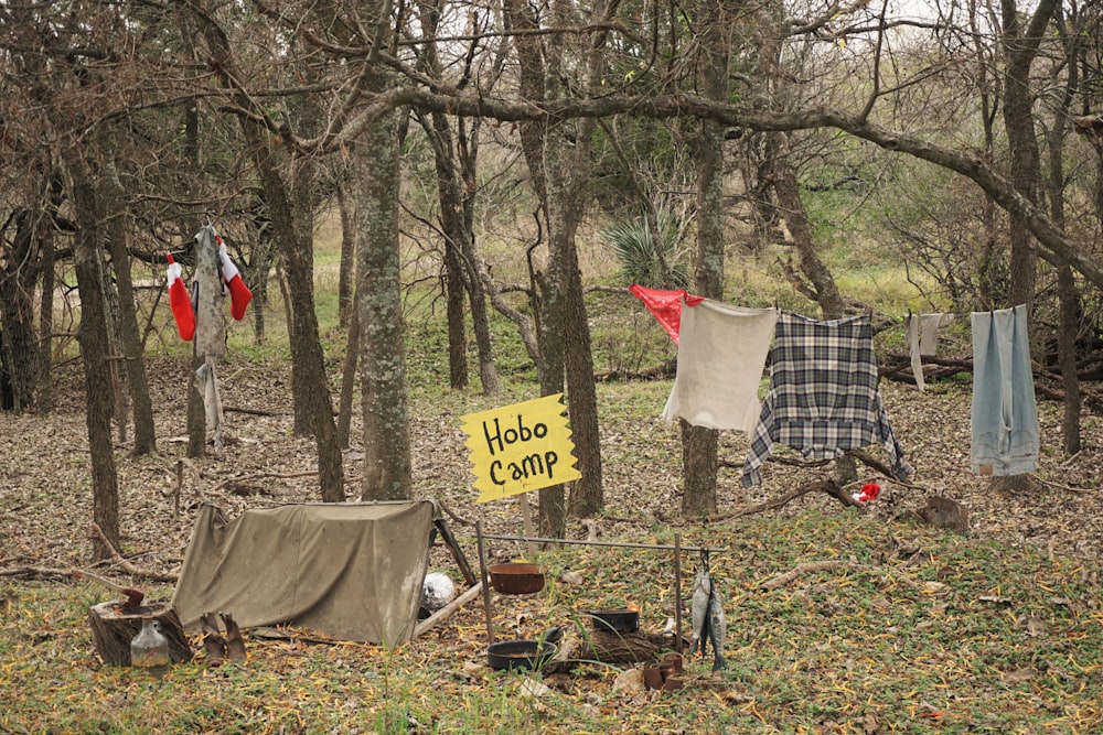 Hobo Camp in forest