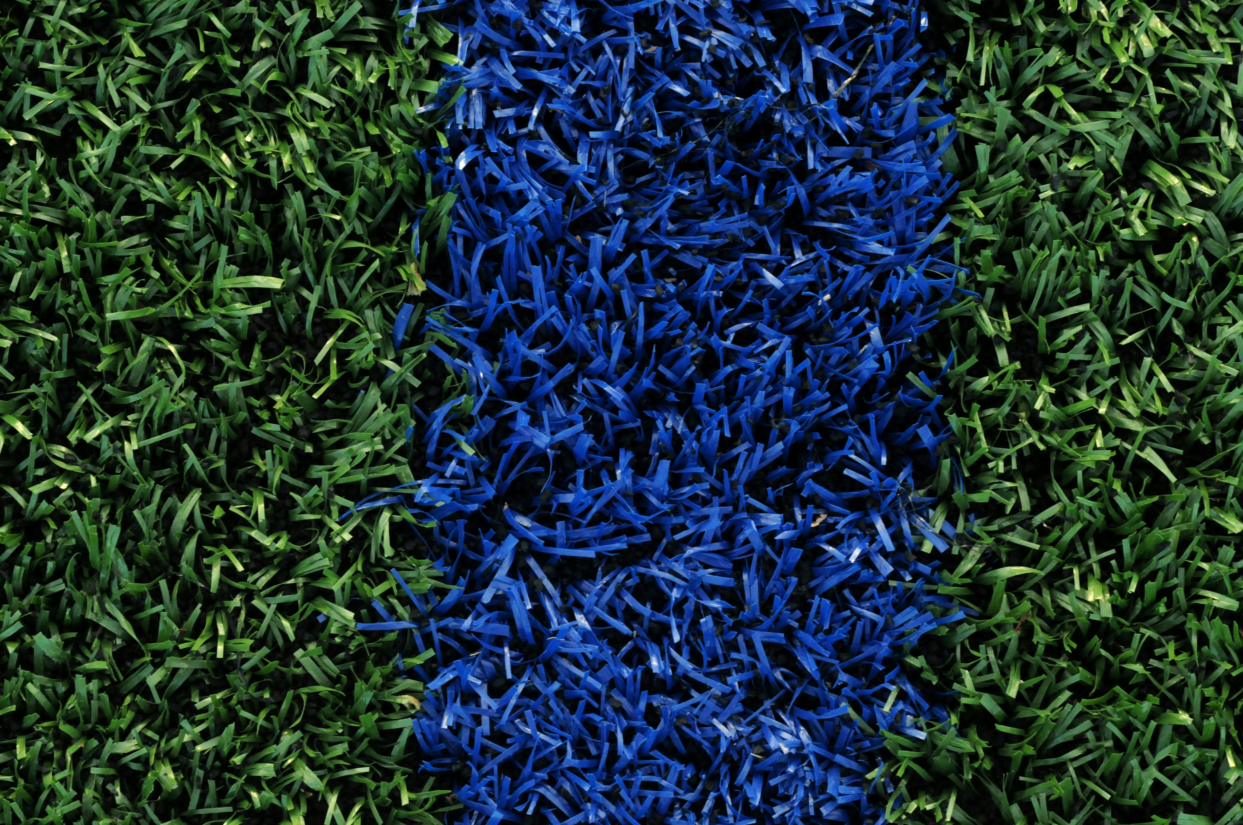 green and blue grass field