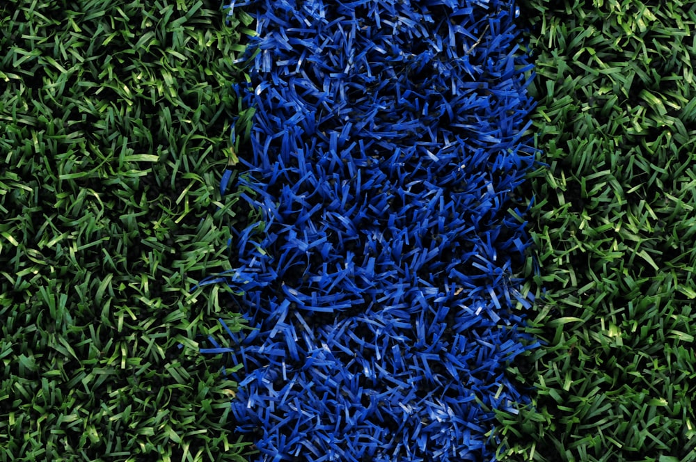 green and blue grass field