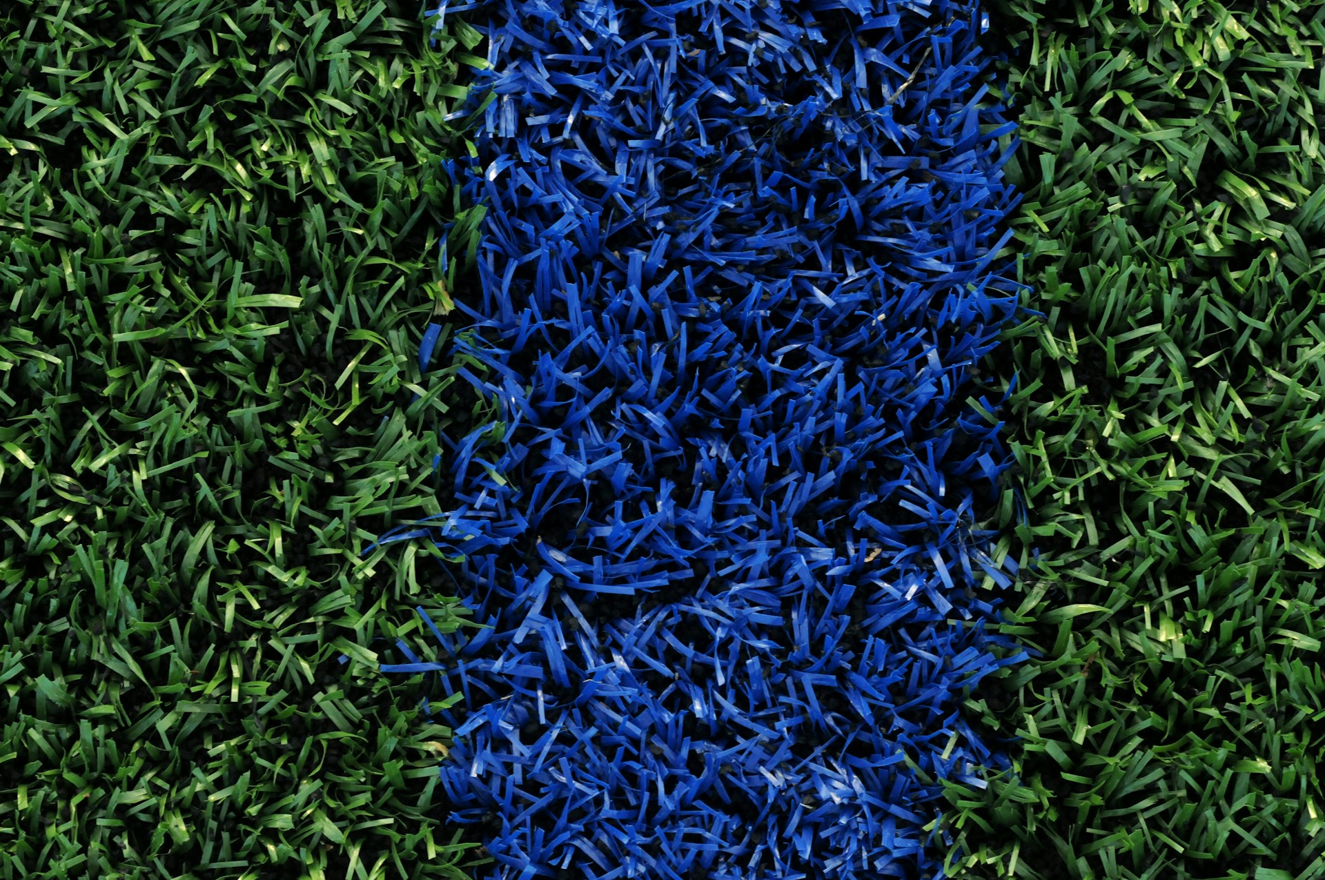 green and blue grass field