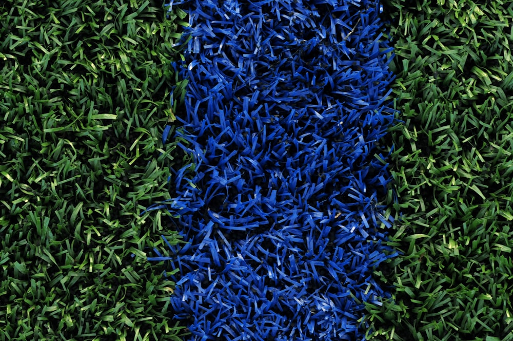 Campo de grama verde e azul