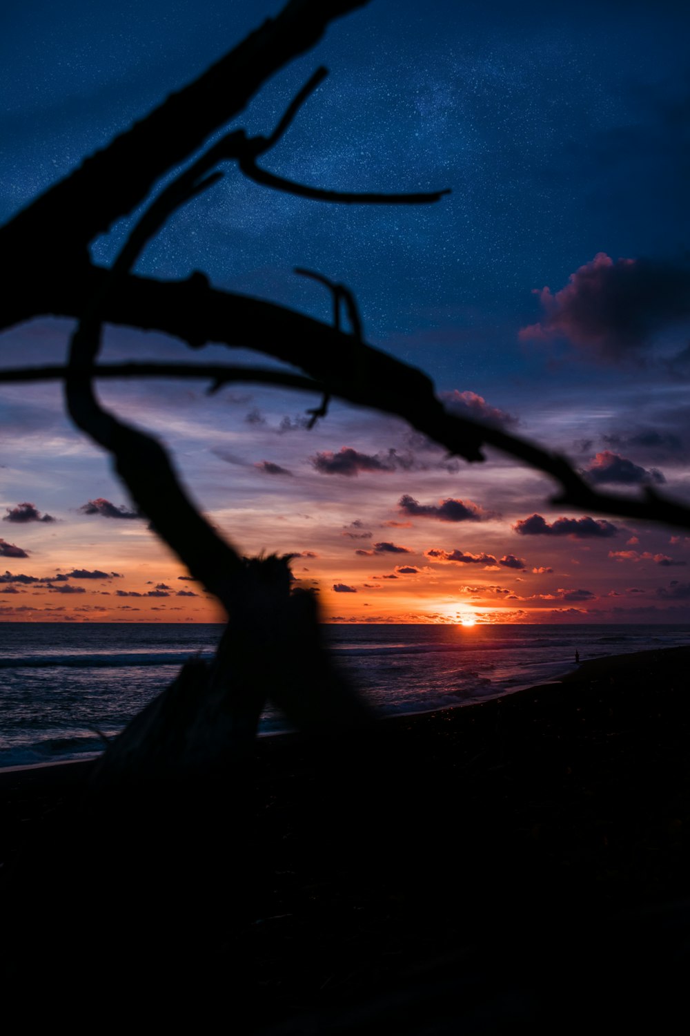 seashore under golden hour