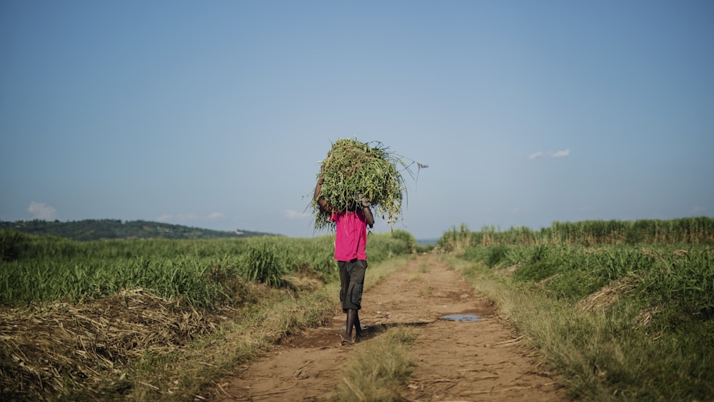 man carrying a grass while walking