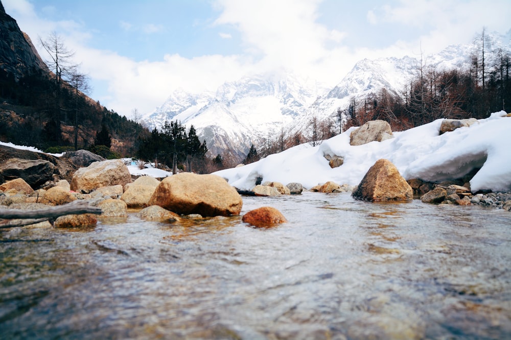 Cuerpo de agua cerca de tierra cubierto de nieve