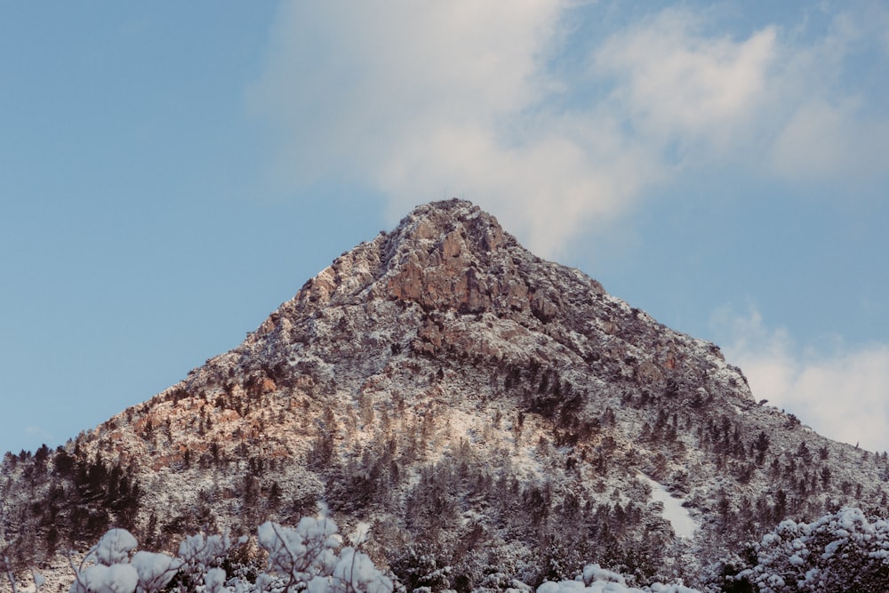 snow covered mountain with trees during daytime