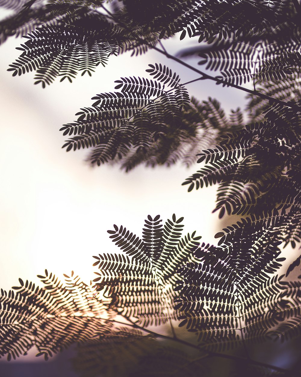 green leaf closeup photography