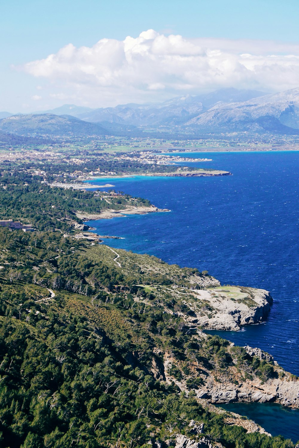 birds eye photography of forest and body of water