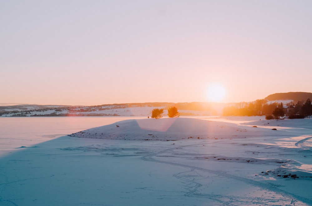 landscape photo of trees and white snow