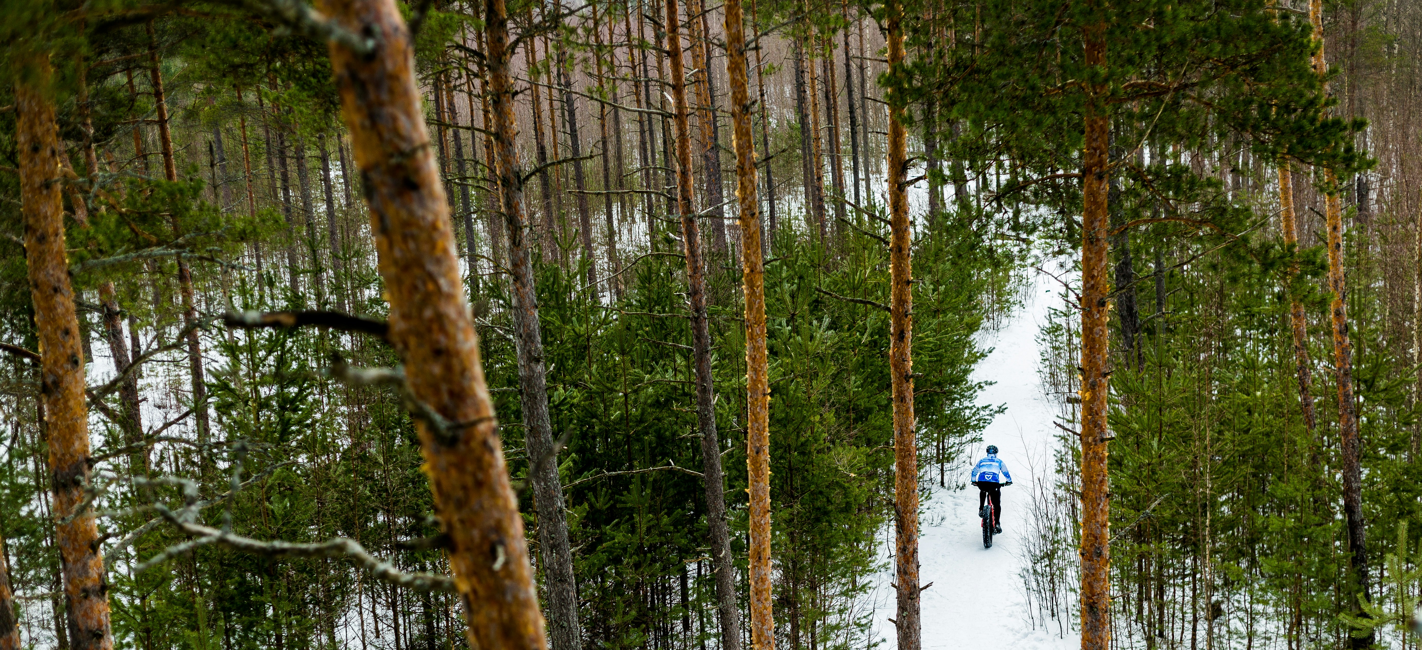Wild bicycle ride