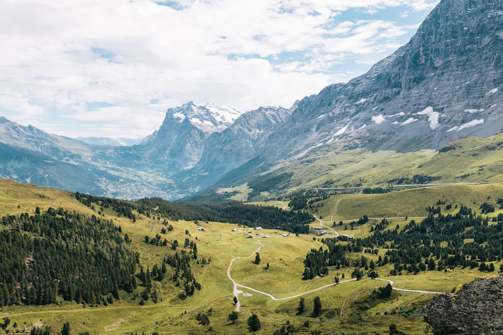 mountain filled with trees during daytime