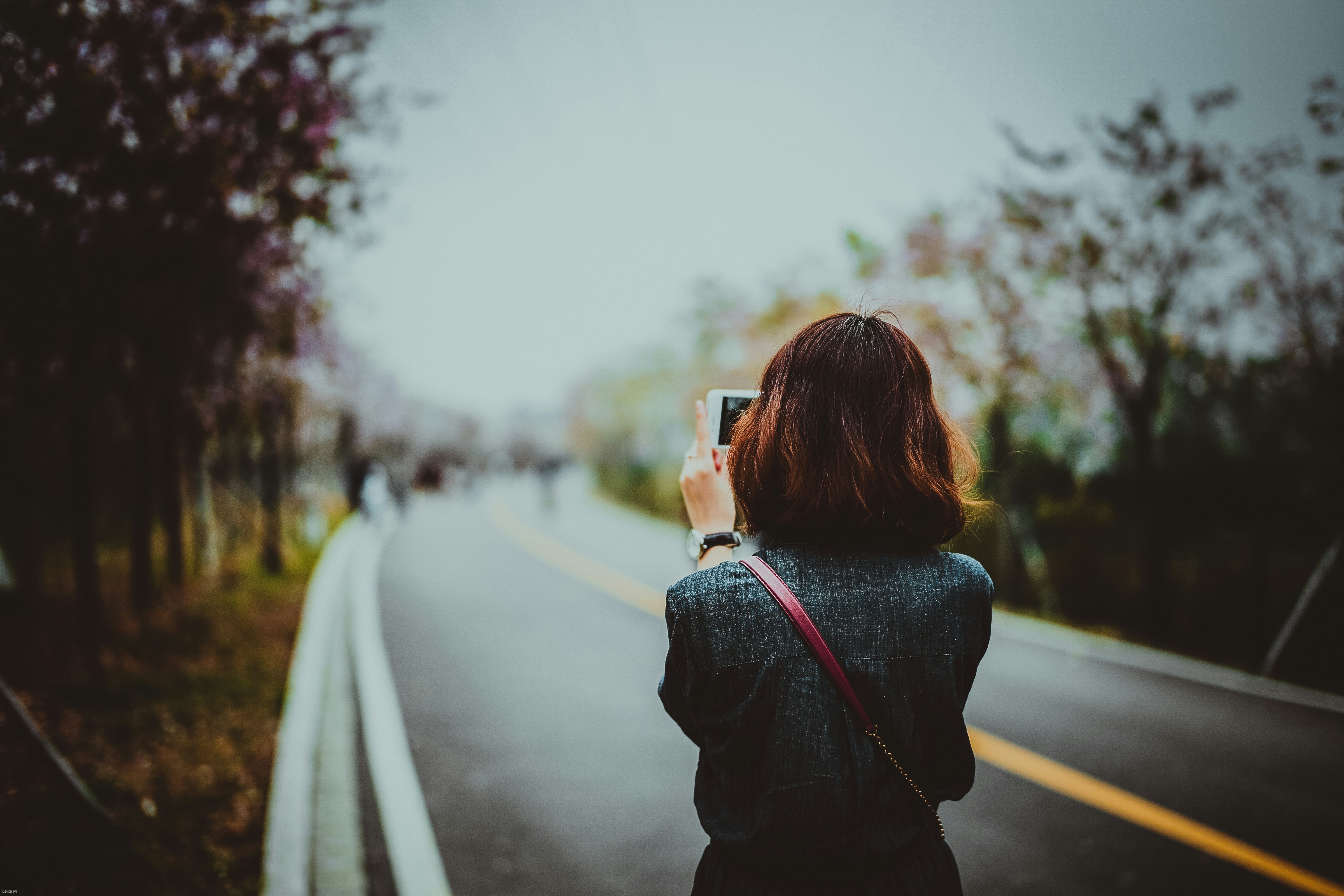 ���� ���� ������ �� ���� ������