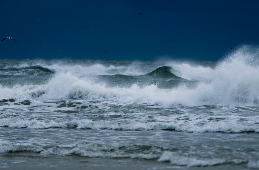 landscape photo of ocean waves
