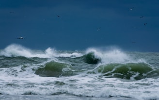 scenery of ocean
