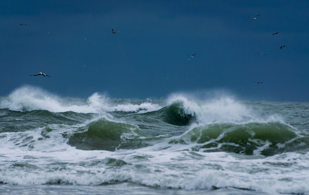 cenário do oceano