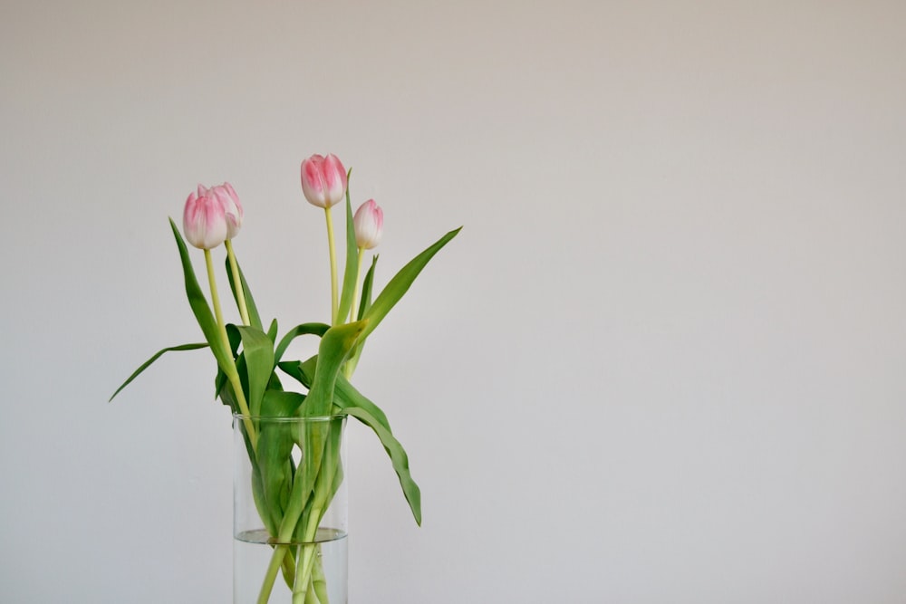 flor de pétalos rosados y blancos