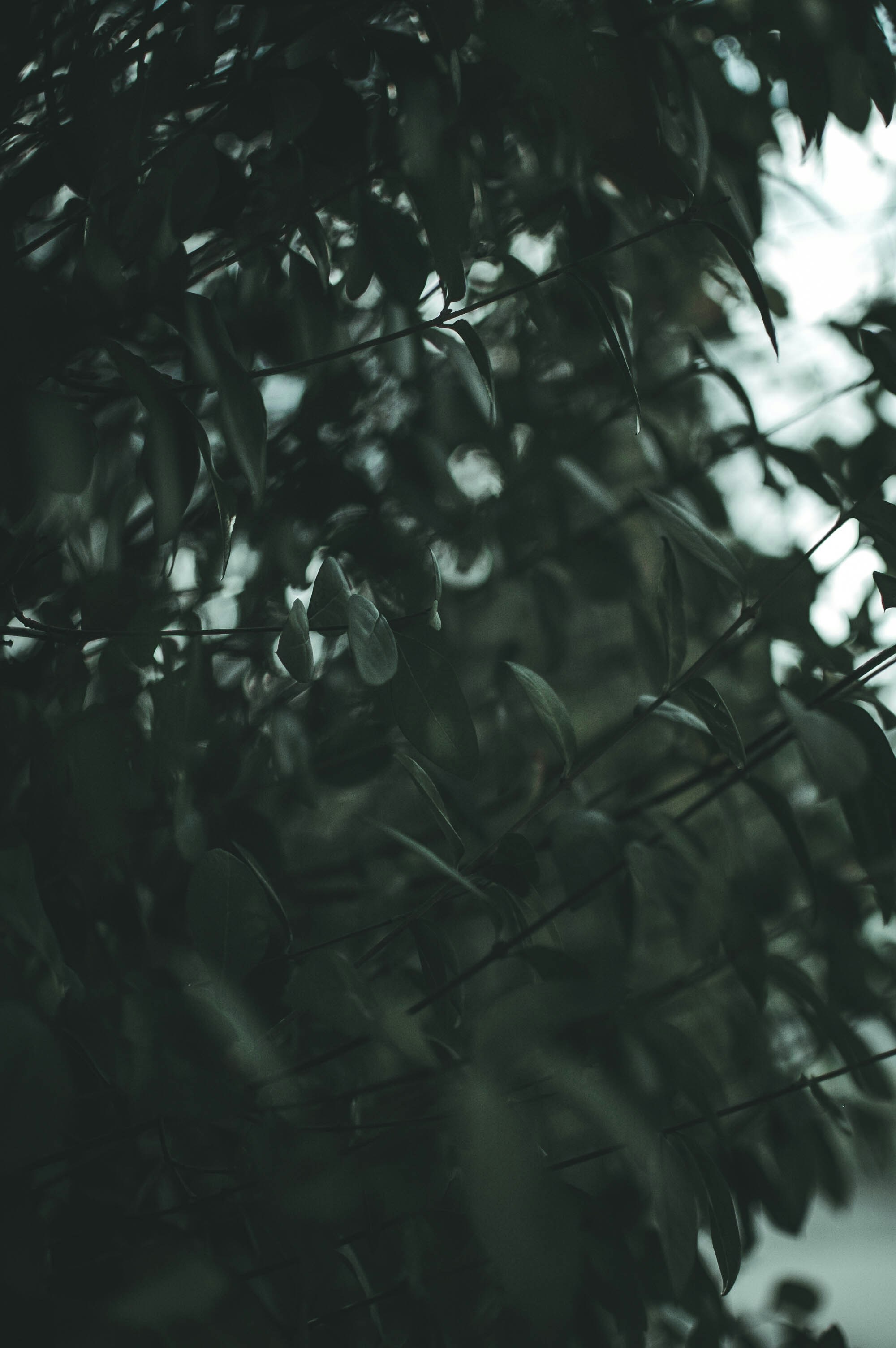 Photo by miroslavskopek