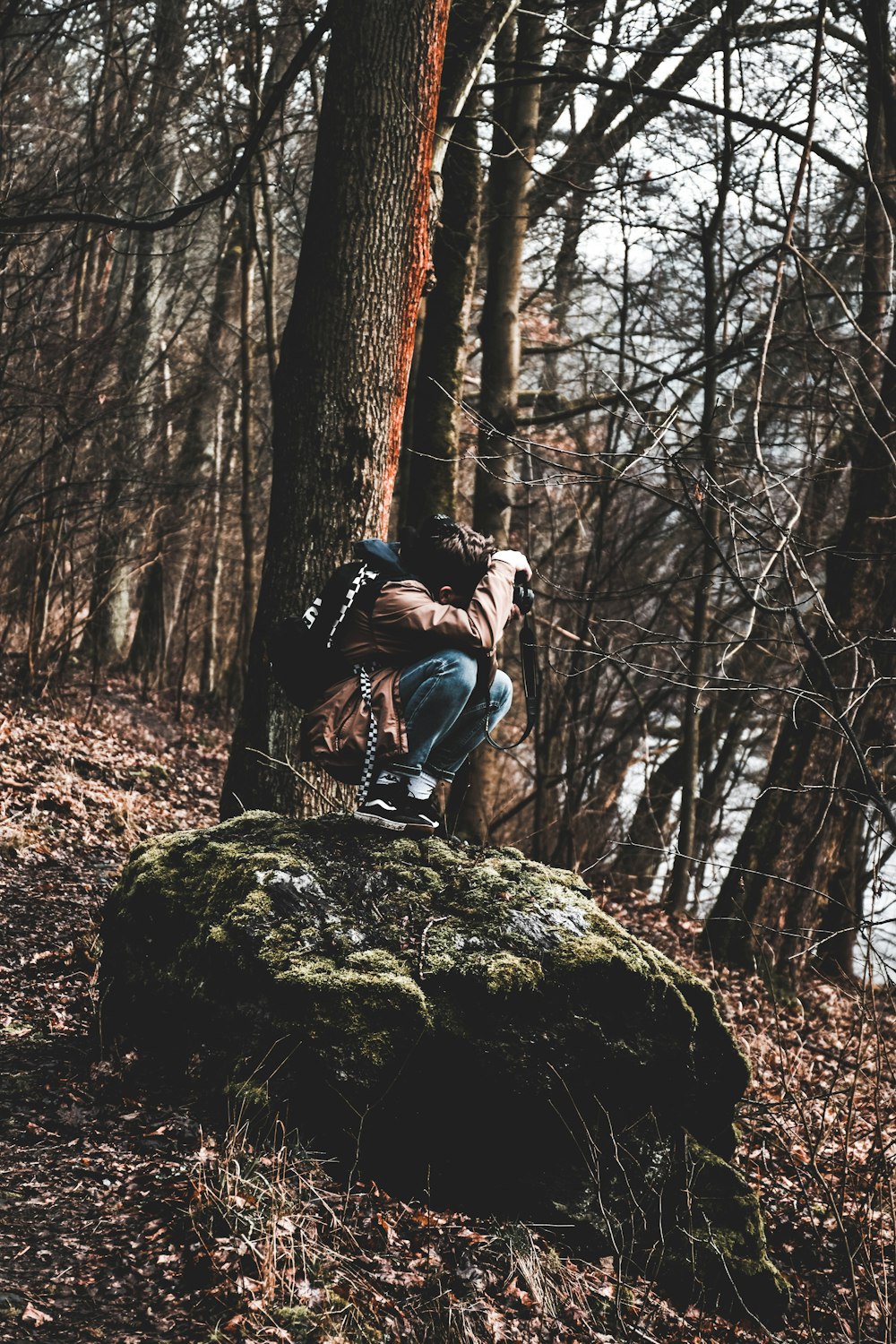 person stepping on stone near tree