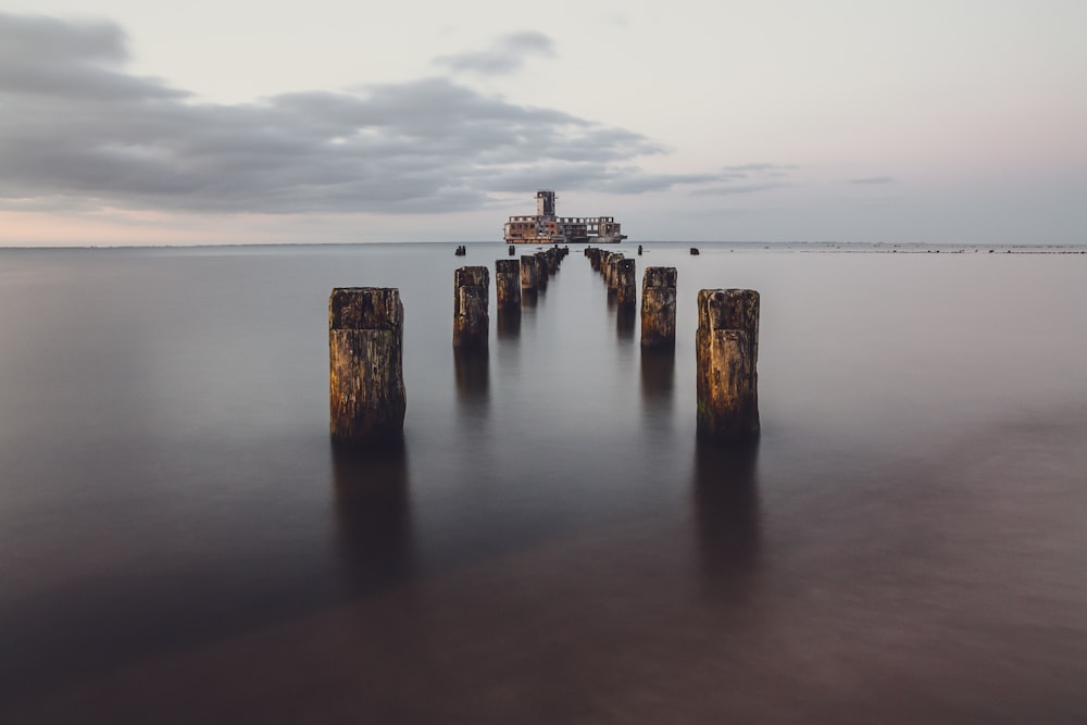 brown wooden dock pillar