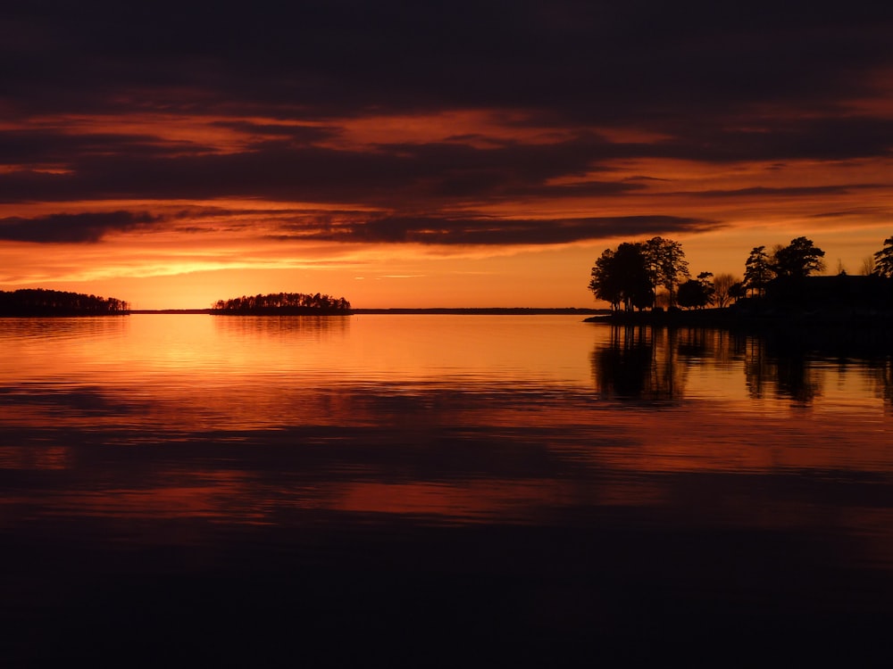 Silhouette von Bäumen in der Nähe eines Gewässers während der goldenen Stunde