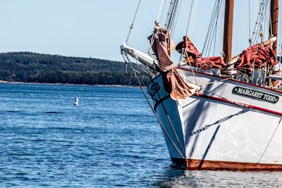 white and red boat on water during daytime