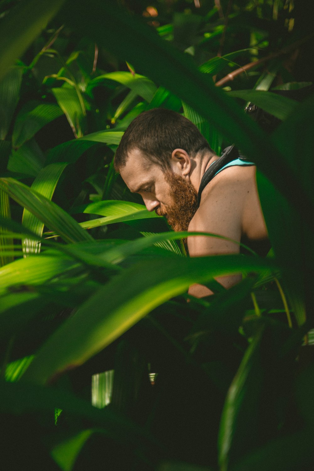 man sitting between plants