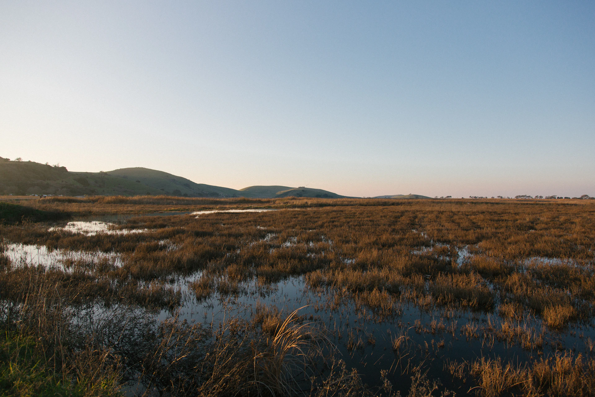 woman wearing yellow long-sleeved dress under white clouds and blue sky during daytime