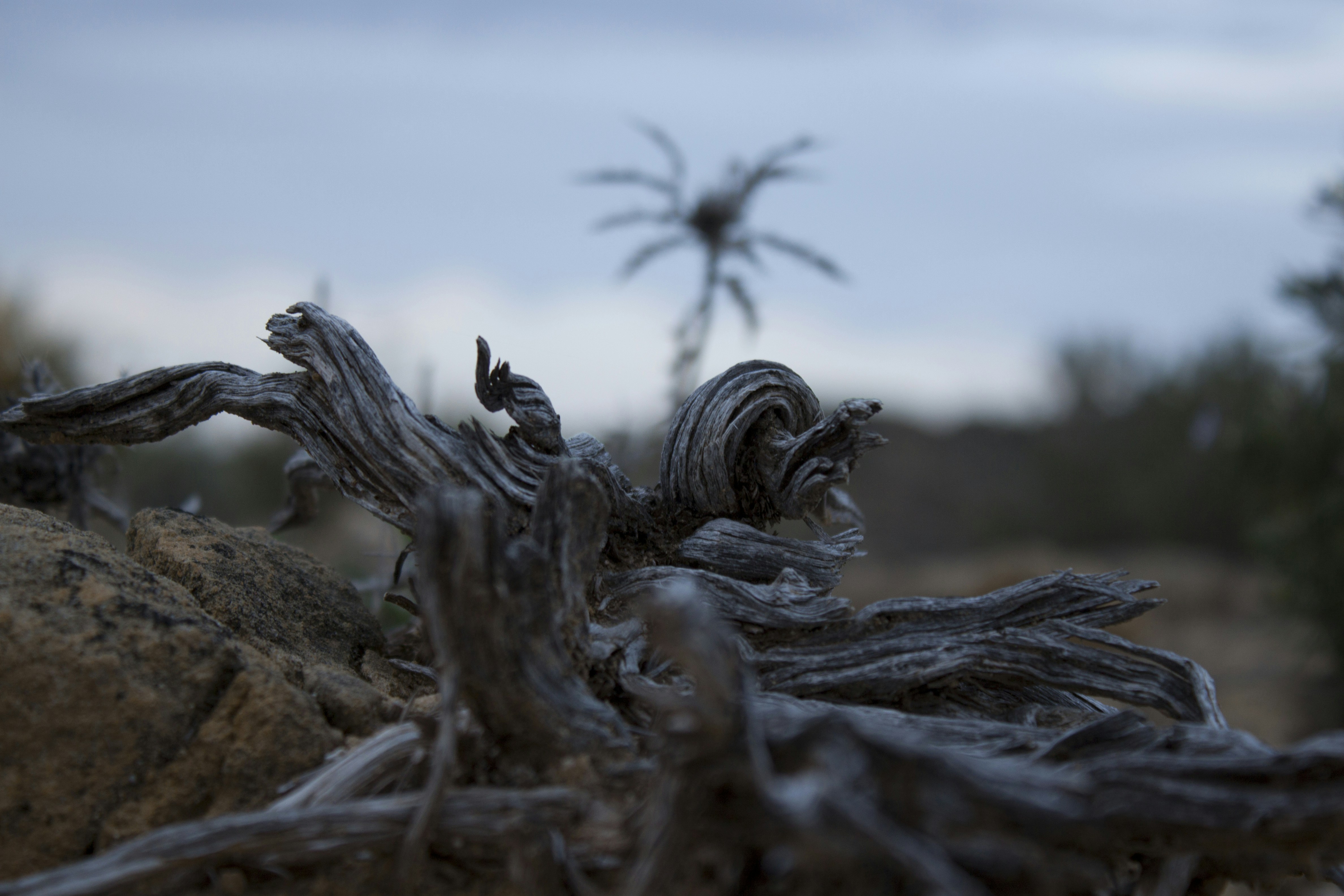 Grabado Láser Personalizado