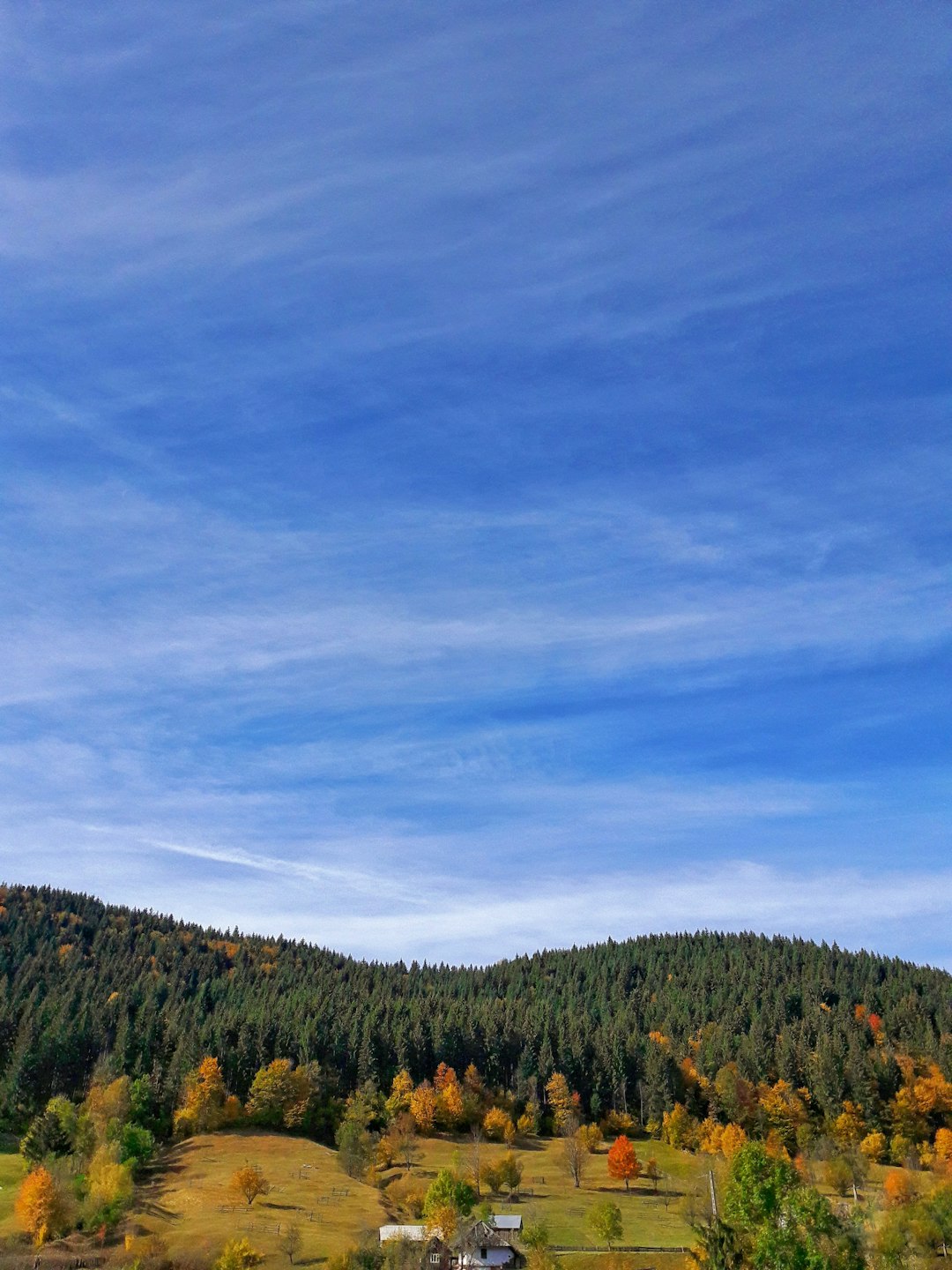 travelers stories about Mountain in Gainesti, Romania