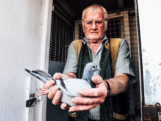 An older man with glasses holds a pigeon gently in his hands. He stands in what appears to be the entrance of a bird loft, wearing a checkered shirt and a green vest with brown patches. The setting has a rustic feel, with white wooden walls and a barred door in the background.