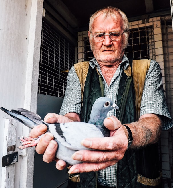 man holding pigeon