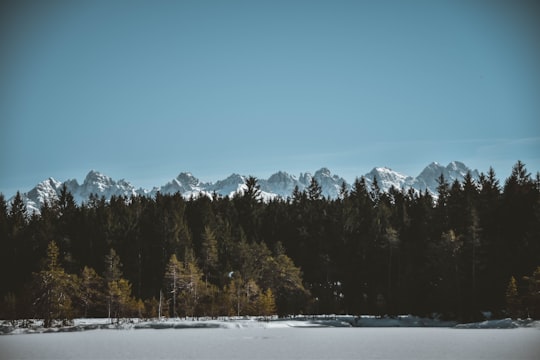 snowy mountain in Seefeld Austria