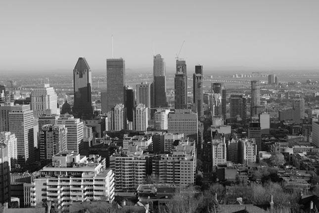 A city skyline featuring numerous skyscrapers and buildings in a dense urban layout. The architecture varies with both modern and older styles, and the scene extends to a distant landscape with a river and bridge visible in the background.