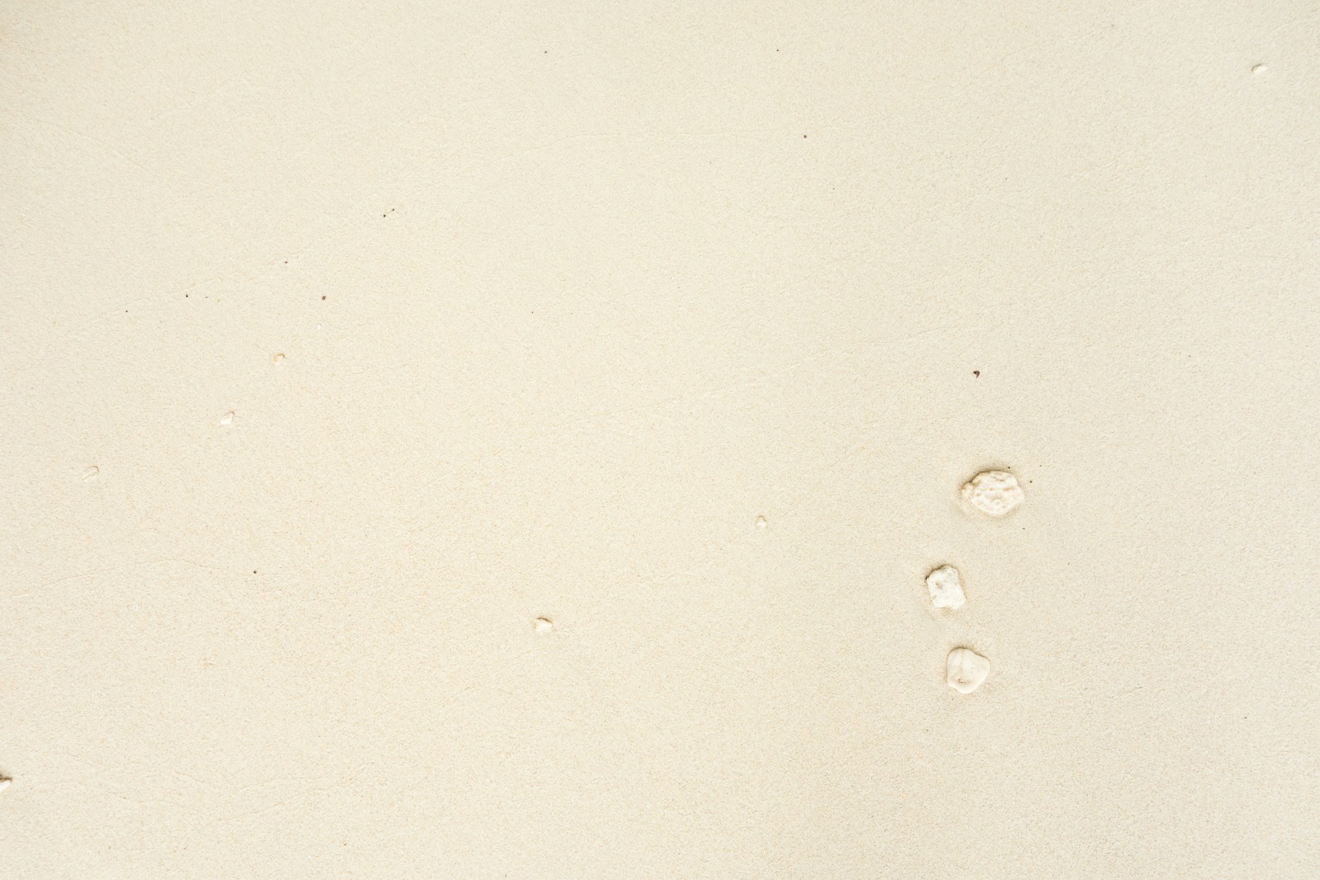 two footprints in the sand of a beach