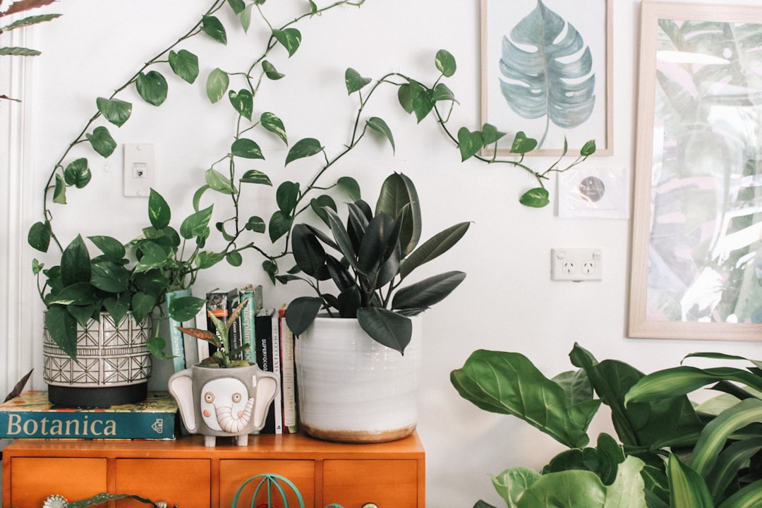  green leafed plant plants