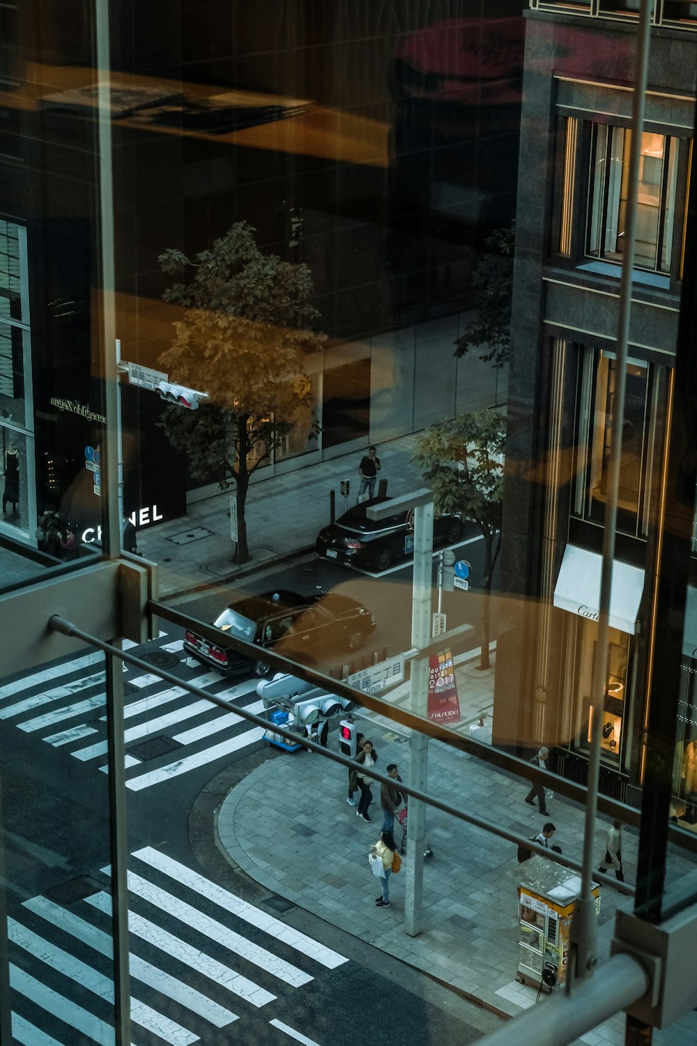 people walking near building and pedestrian lanes during daytime