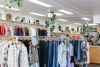 assorted-color clothes hanged inside department store with lights turned on