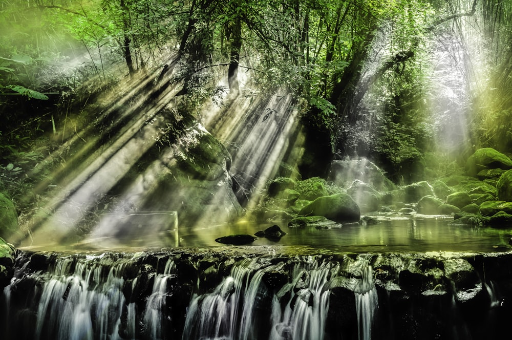 sunlight reflection on river under green tree