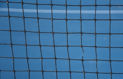 blue net