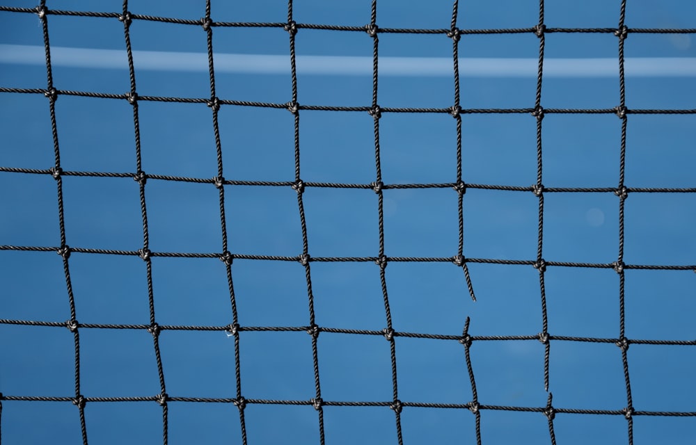 blue net