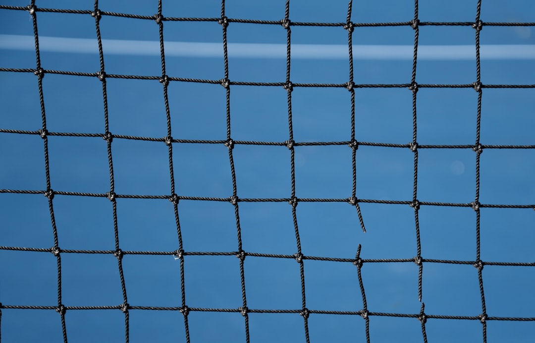 blue net,