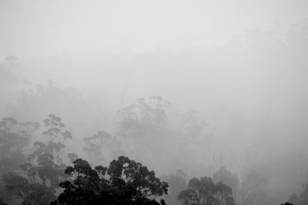 photo of Rosny Park Hill station near Mount Wellington