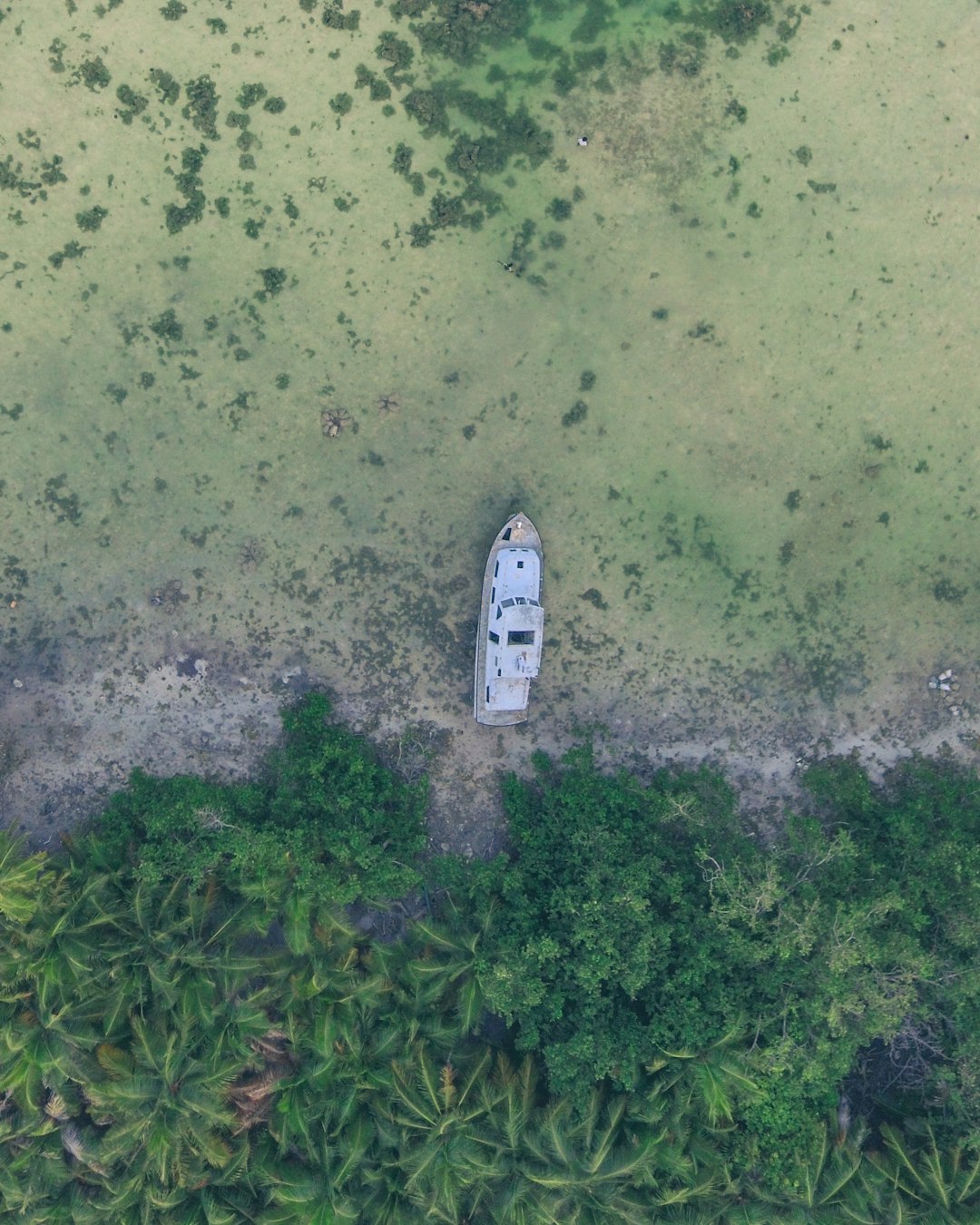 aerial photography of white yacht on seashore near trees at daytime