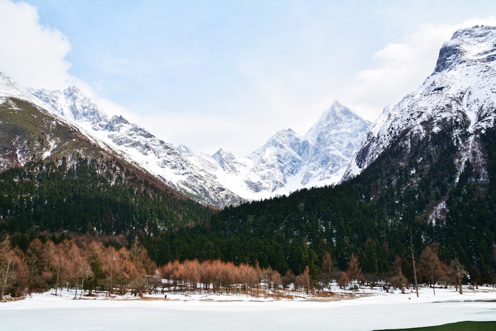 landscape photo of mountains