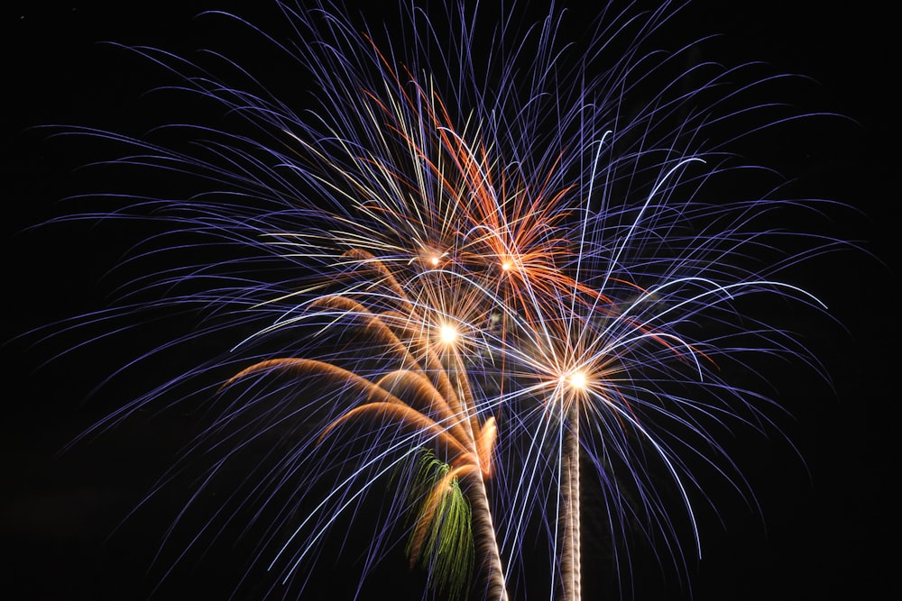 Foto eines Feuerwerks in der Nacht