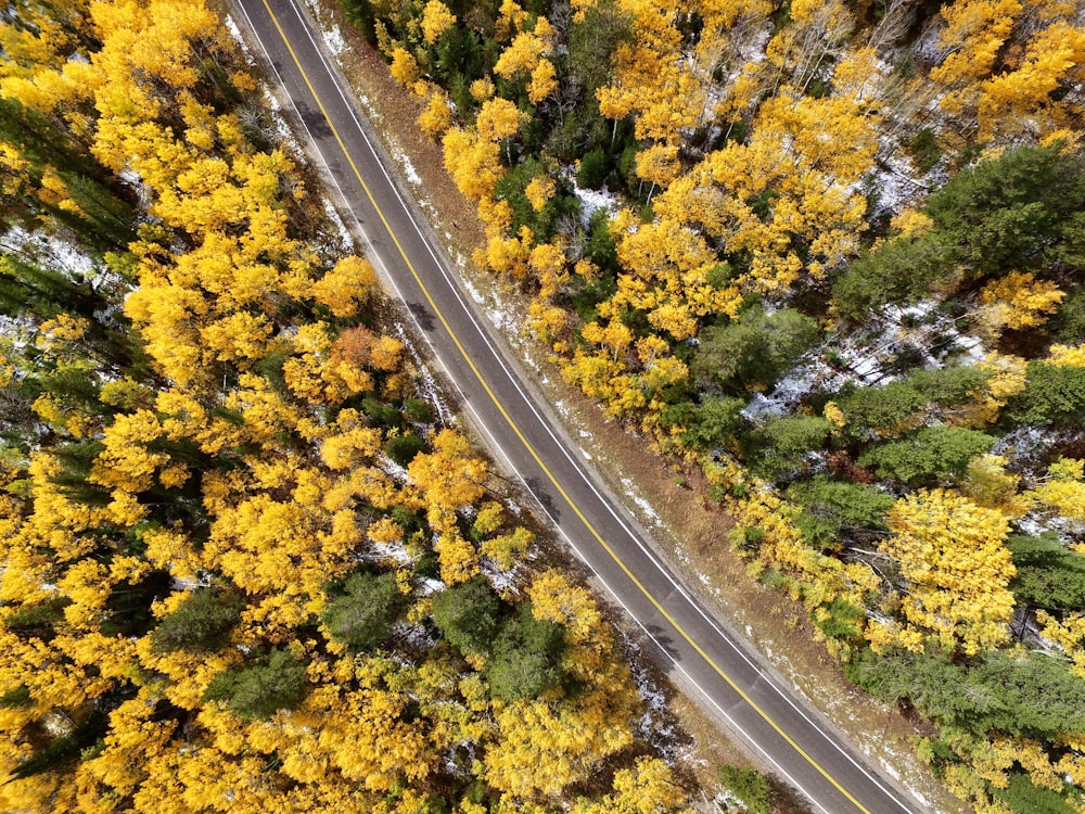 an aerial view of a road surrounded by trees