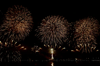 Screenshot of a winning Free Fire squad celebrating with fireworks in the background.