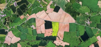 aerial view of green and black fields