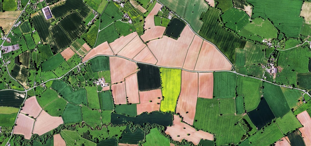 Veduta aerea di campi verdi e neri