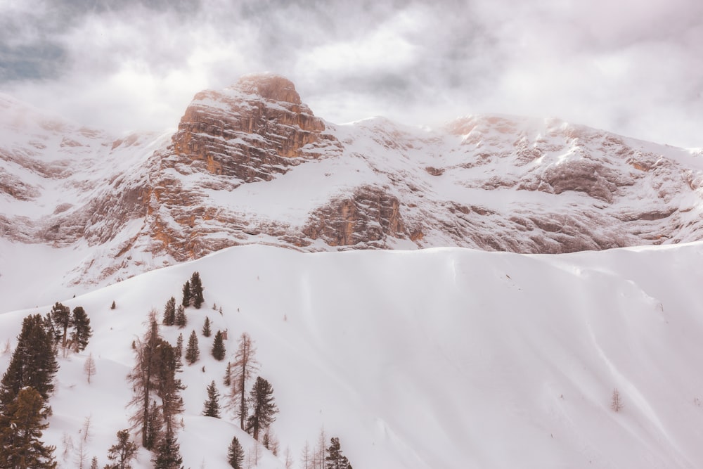 mountains covered with snow